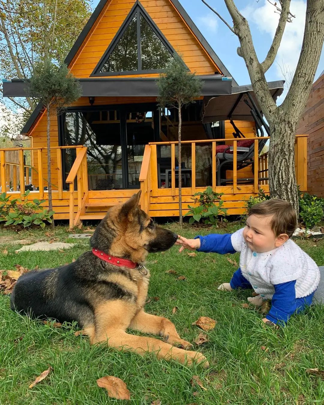 Hakkımızda slider görseli